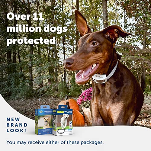 Petsafe Classic In-Ground Fence Rechargeable Receiver Collar For Dogs And Cats - From The Parent Company Of Invisible Fence Brand - 7 Levels Of Adjustable Static Correction - For Pets 5 Lb And Up #TOP1