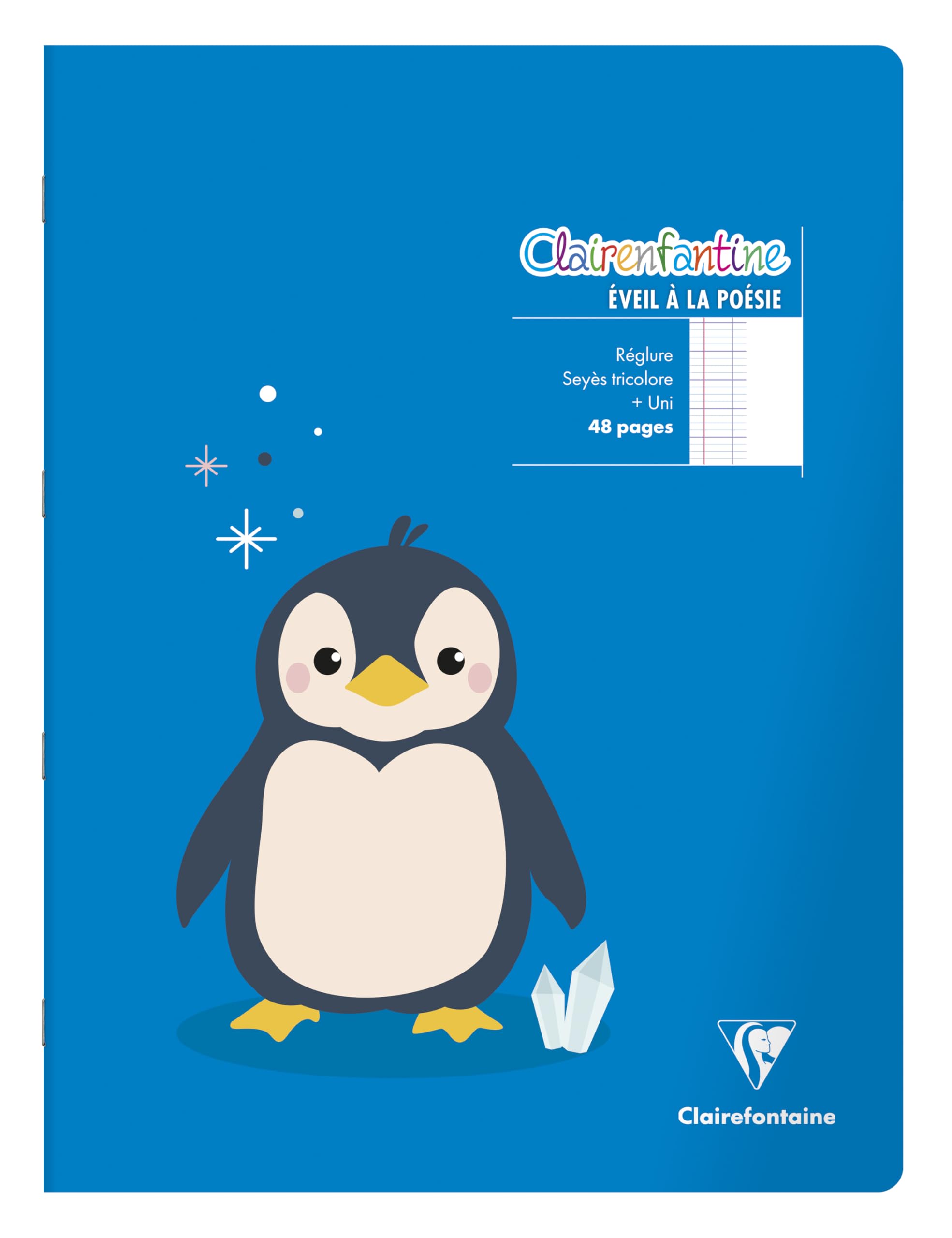 Clairefontaine 36750C zeszyty x20 do poezji, 32 cm, 90 g, 48 stron