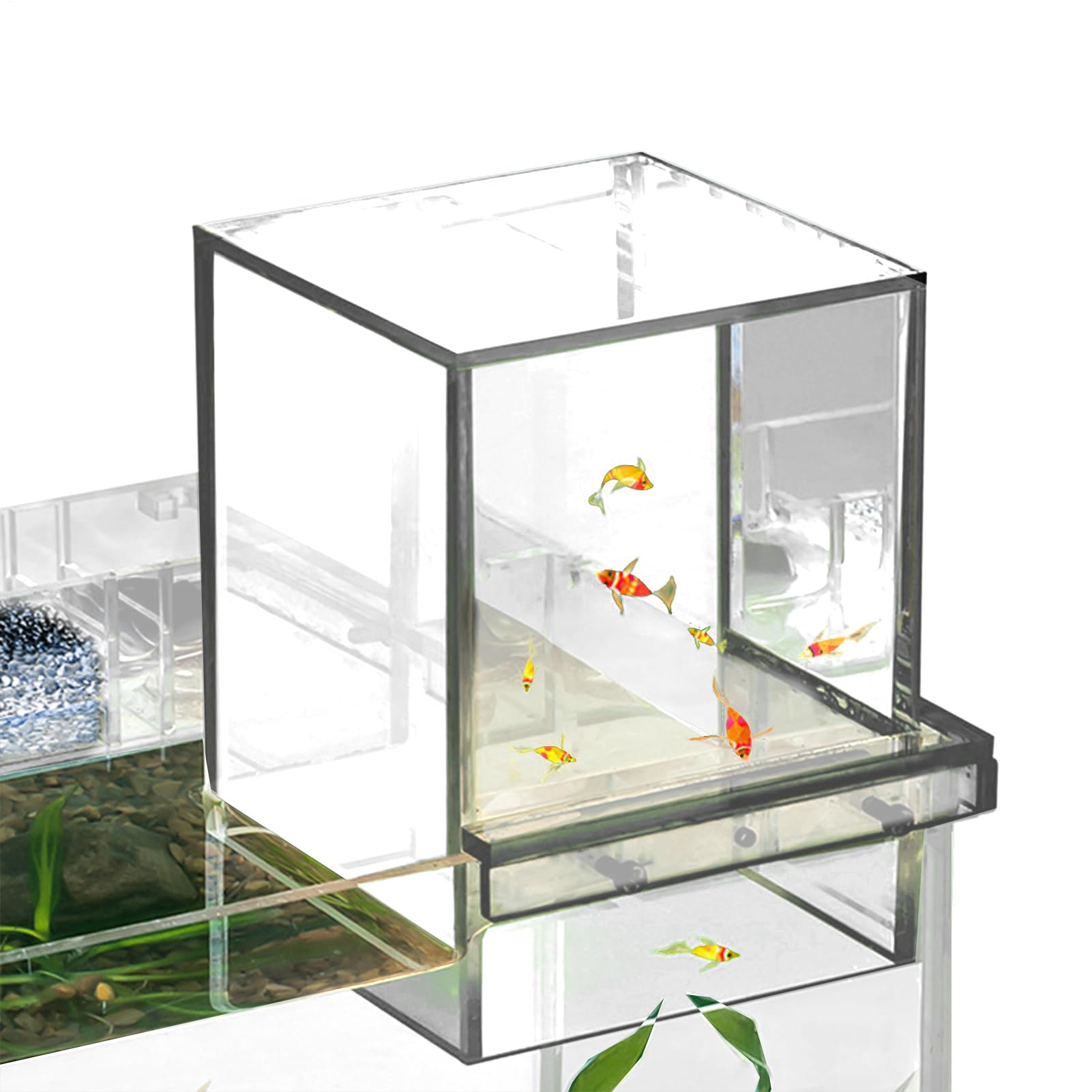 Aquarium Tank, Fish Elevator Tank, Lightweight Acrylic Maintainer Tanks, Inverted Aquariums for Waters Display and Water Level Maintenance, 5.12x5.12x6.3inches, Transparent