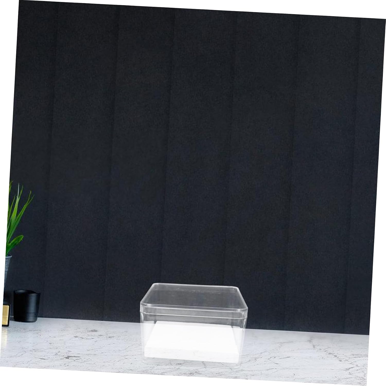 ABOOFAN Mini Insect Specimen Display Box 1 Set Entomology Specimen Container Cover Mini Showcase Box