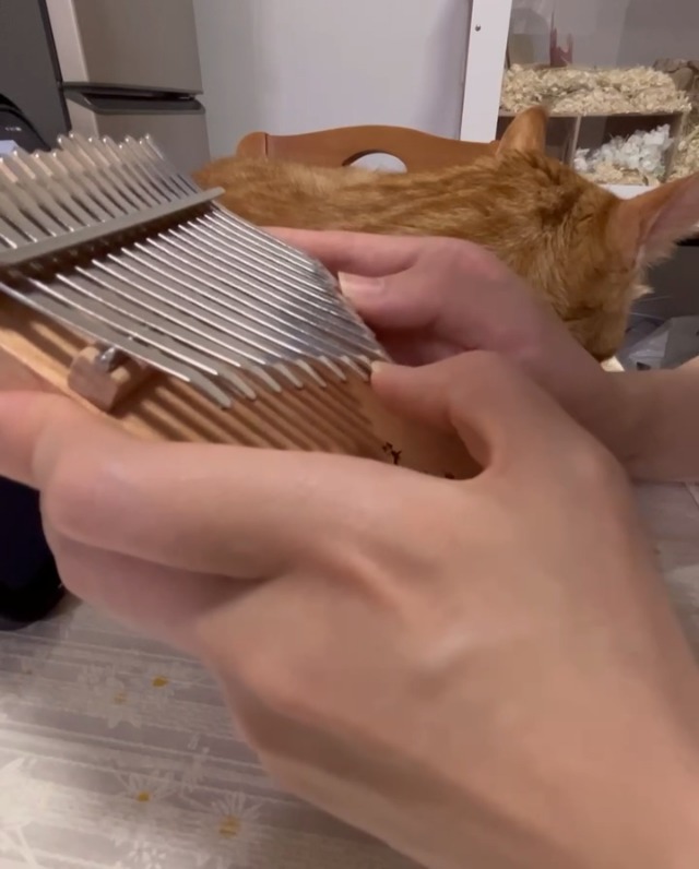 スミヤカ カリンバ 17キー ソリッド オクメ材