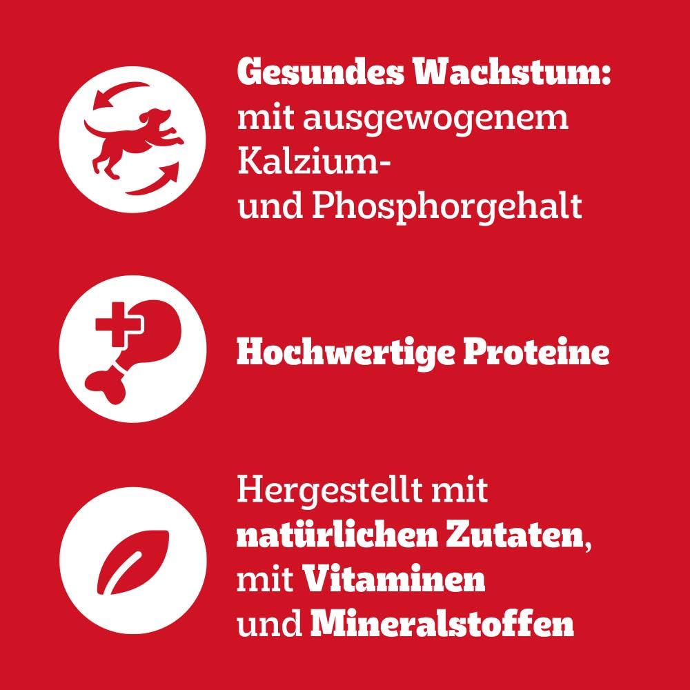 PEDIGREE Junior Multipack Gemischte Selektion in Gelee Hundenassfutter im Portionsbeutel für junge Hunde 4 Varietäten 84 x 100g