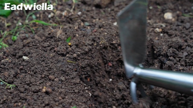 Azada y cultivador para jardín con mango de madera miniatura 7