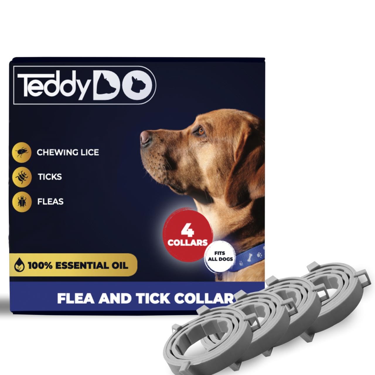 TeddyDo 4 Pack Collar for Dogs, Grey