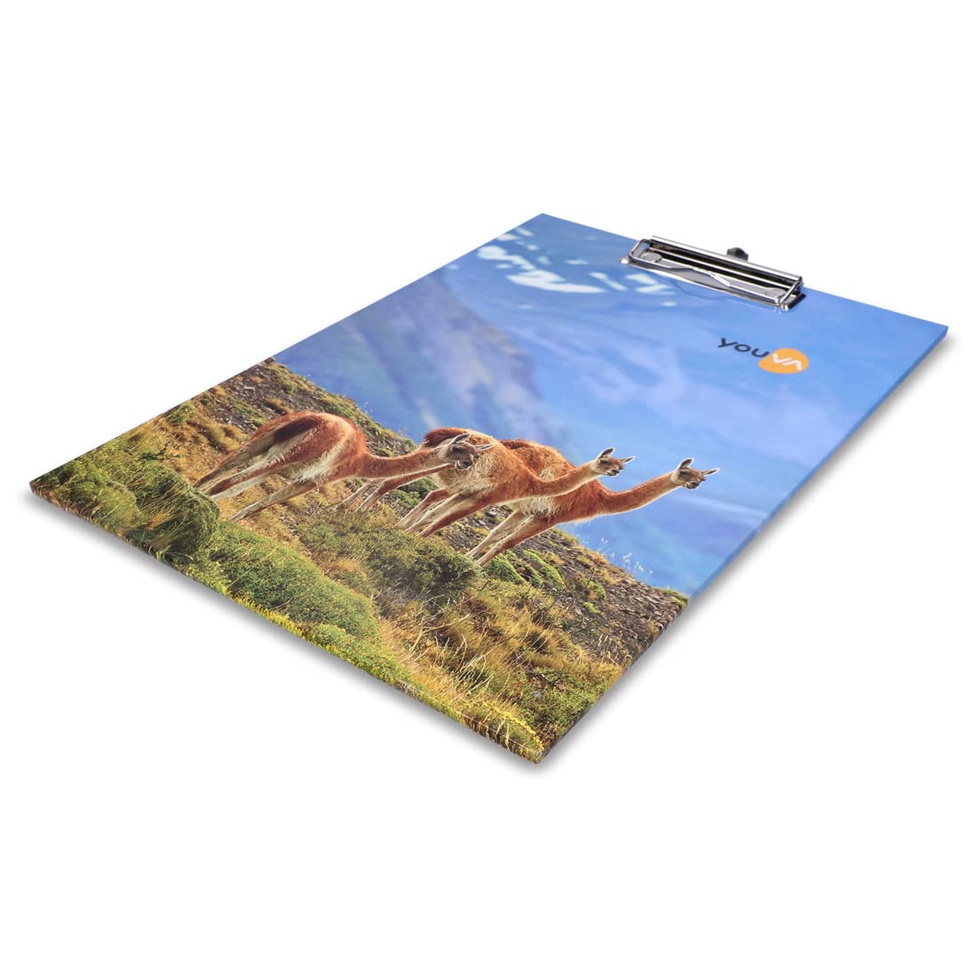 Navneet Youva Tablica do egzaminów regularnych dla studentów, tablica z klipsem, rozmiar Foolscap - 24 cm x 34,5 cm, 12 sztuk