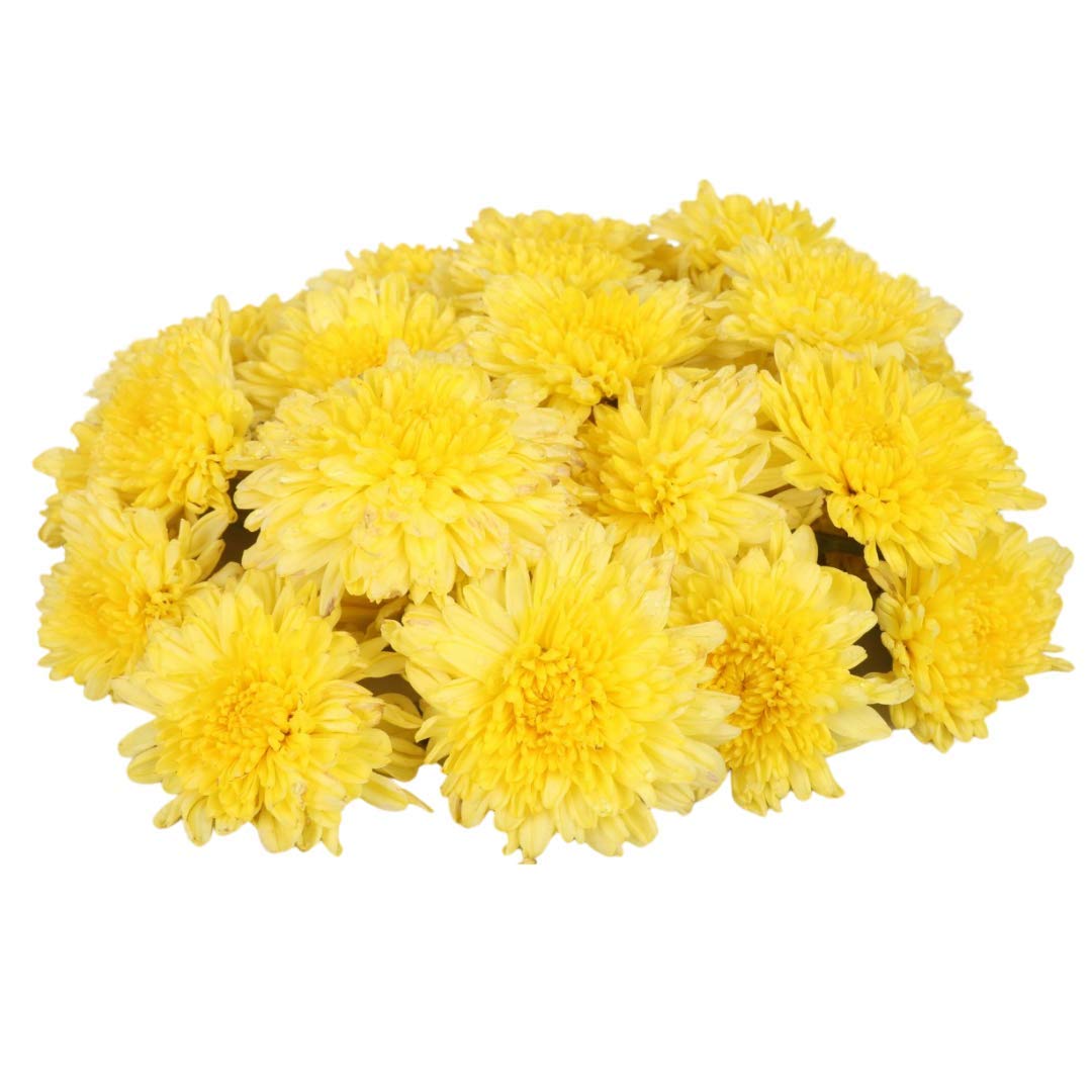 HOOVU Fresh Yellow Chrysanthemums, 100 g