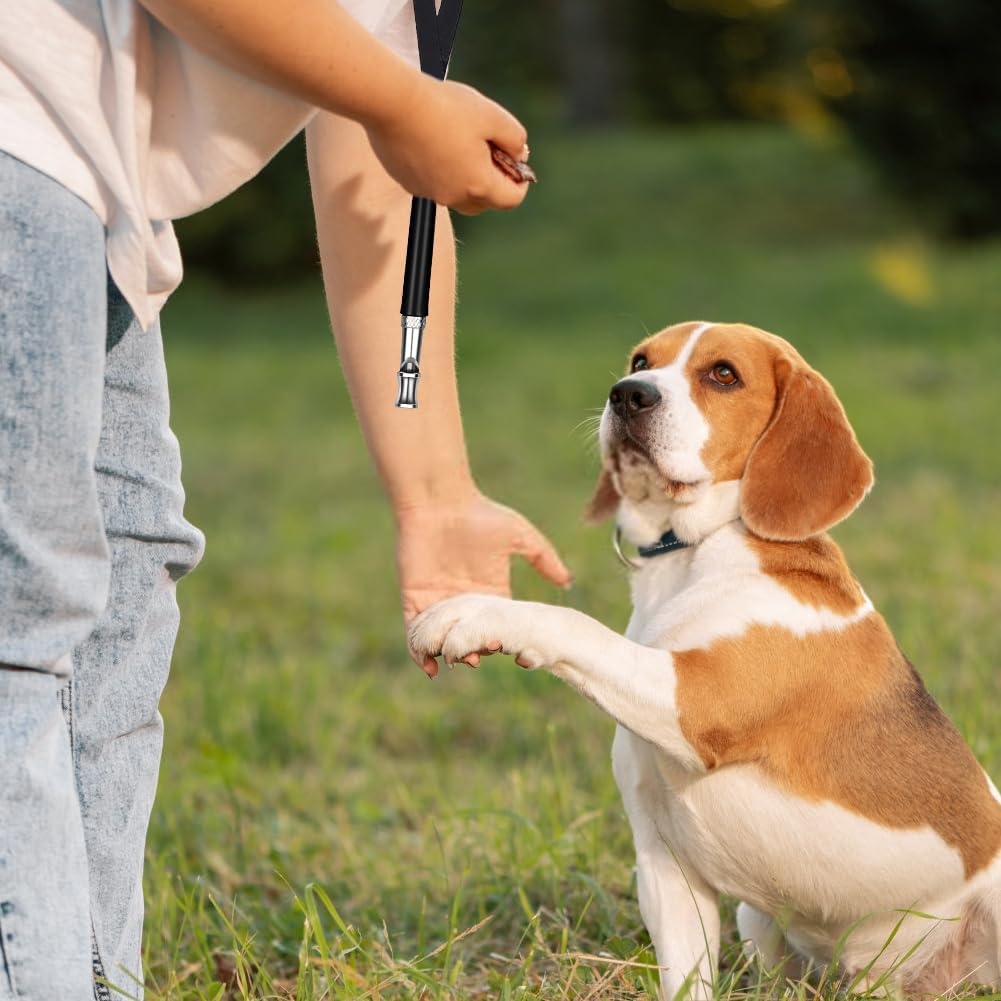 2 Pièces Sifflet Ultrason Chien Sifflet Ultrason Chien Anti Aboiement Livré Avec Lanière Sifflet Anti Aboeement Chien Voisin Adapté Au Dressage Canin Sifflet Anti Aboiement Chien Sifflet Ultra
