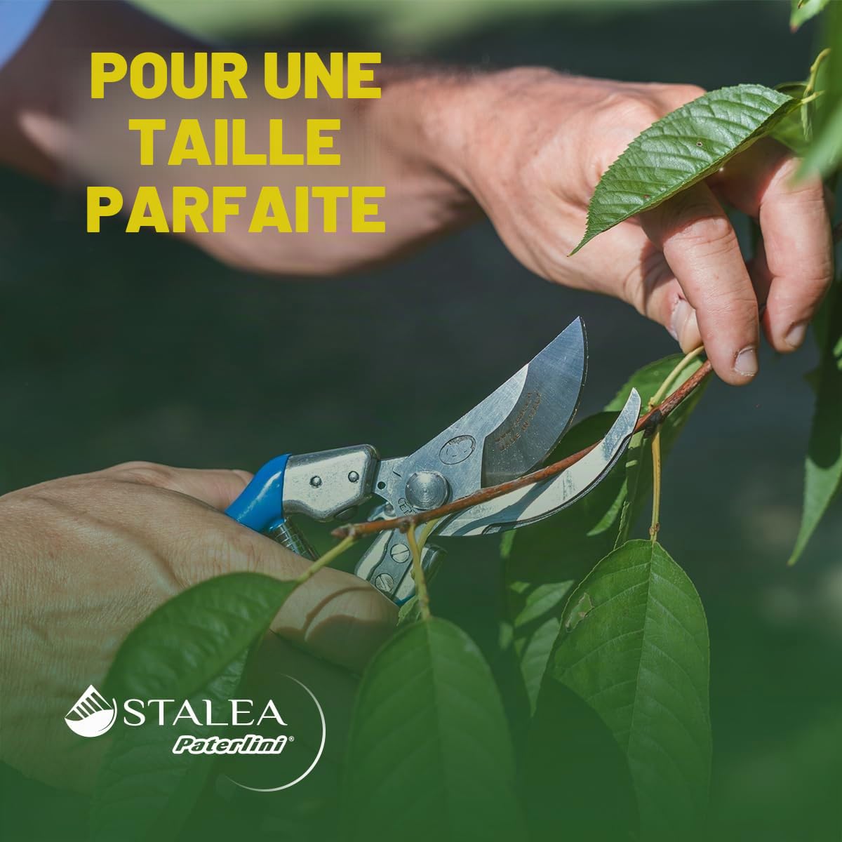 PATERLINI Ciseaux de Sécateur de Jardin - Ciseaux d’élagage tranchants - Cisailles de jardinage faciles à élaguer - Outils de jardinage professionnels - Ciseaux d’élagage (Master BIG)