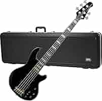 BLACK LABEL ネオンリミテッド Heid Music | ESP E-II Horizon NT-II Electric Guitar - Tiger