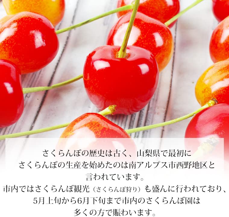 Amazon.co.jp: さくらんぼ 佐藤錦 秀品 Lサイズ 約1kg JA南アルプス市