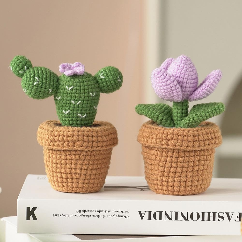 SGIBYN Kit Uncinetto Per Principianti Con Video Passo Passo – Crea Piante Grasse E Amigurumi, Regalo Creativo - 2