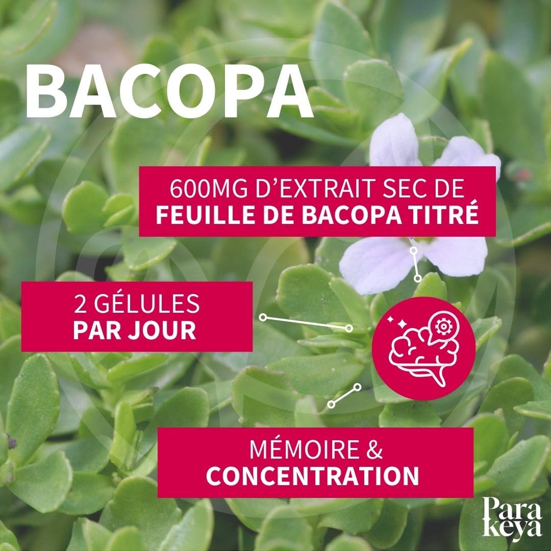 Bacopa 300 mg| Mémoire et Concentration|Complément alimentaire|180 gélules