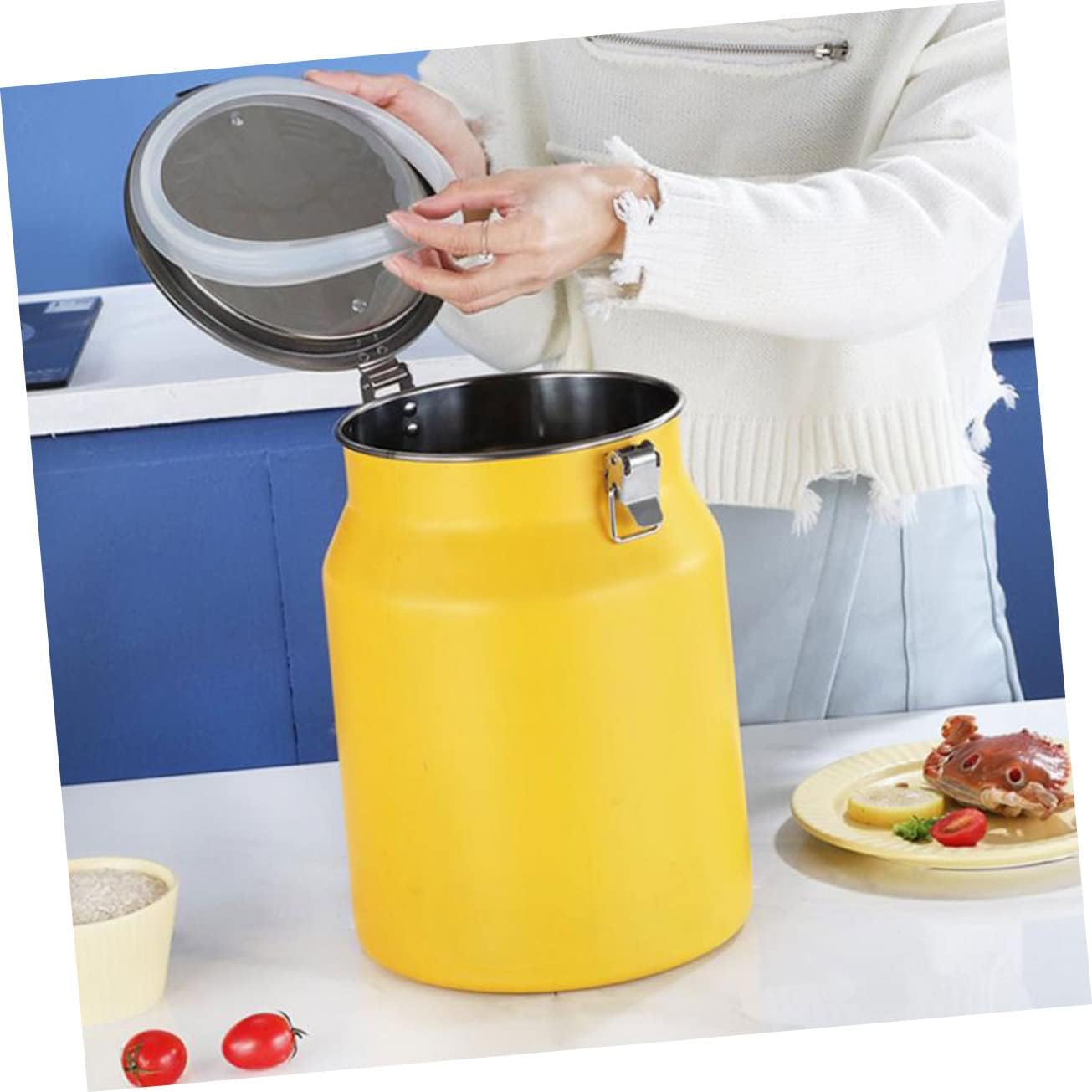 Stainless Steel Rice Bucket with Sealed Lid Capacity Multi Function Storage Container for Home Use Food Grade Grain Bin with Adorable Design