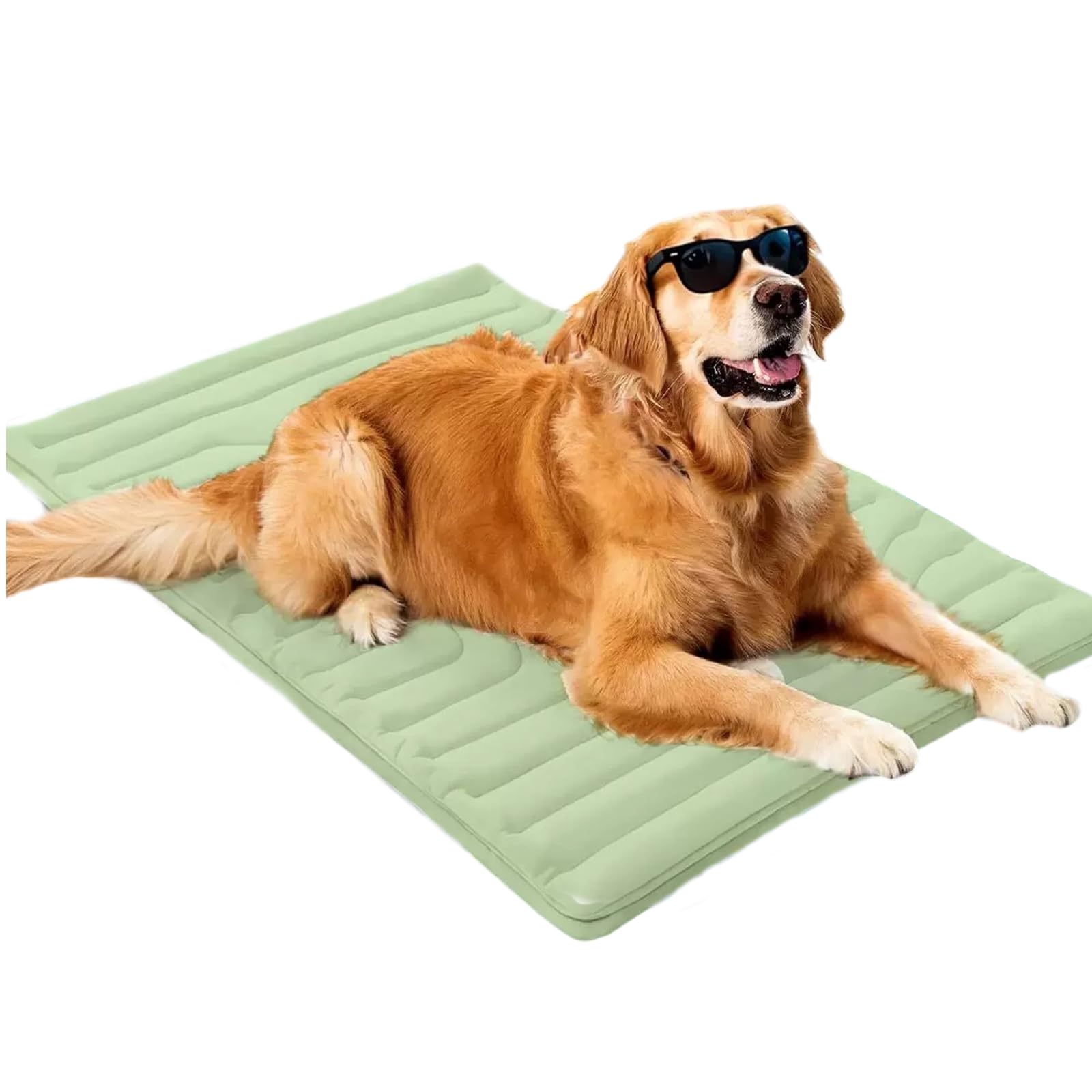 Tappetino refrigerante stagionale per canini gatti vellutato viso freddo animale domestico sottile coperta per auto viaggio sicuro masticazione immune tessuto ghiaccio animale domestico