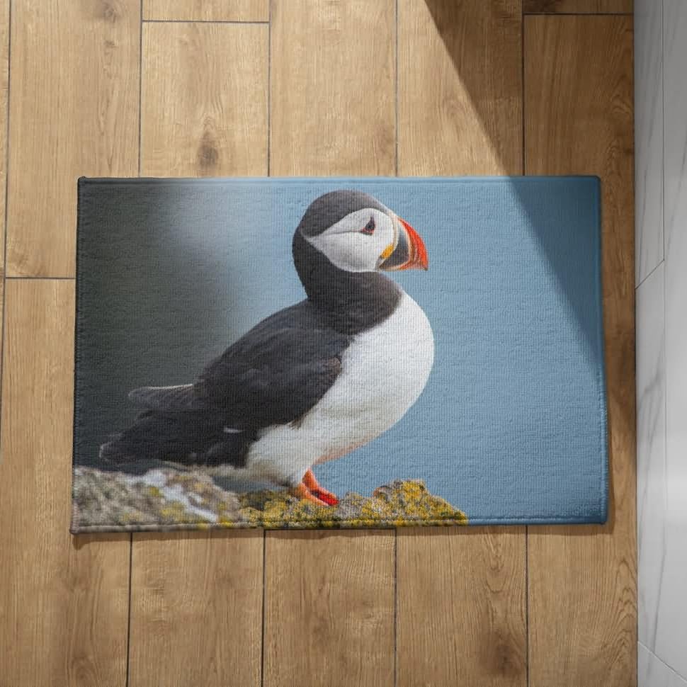 Tapis d'entrée ultra absorbant 50x80cm barrière anti-saleté efficace intérieur et extérieur