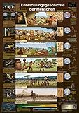 Entwicklungsgeschichte der Menschen (Planet-Poster-Box)