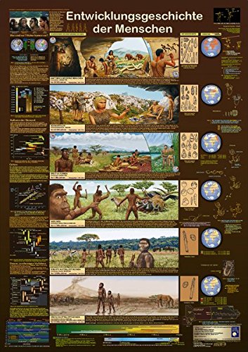 Entwicklungsgeschichte der Menschen (Planet-Poster-Box)