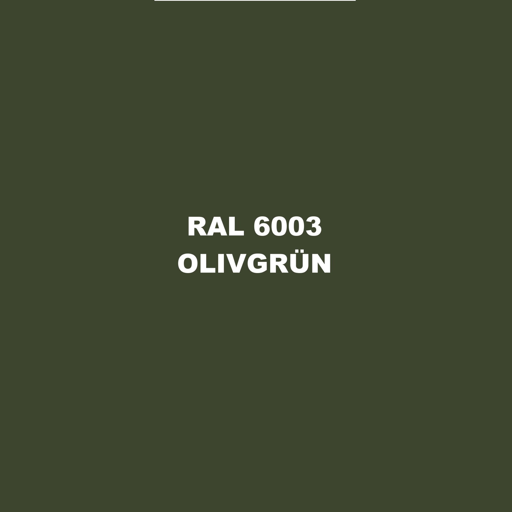5 Liters Set 2K Bilfärg RAL 6003 Olivgrön Matt Ingen Klarlack NVA DDR Lack