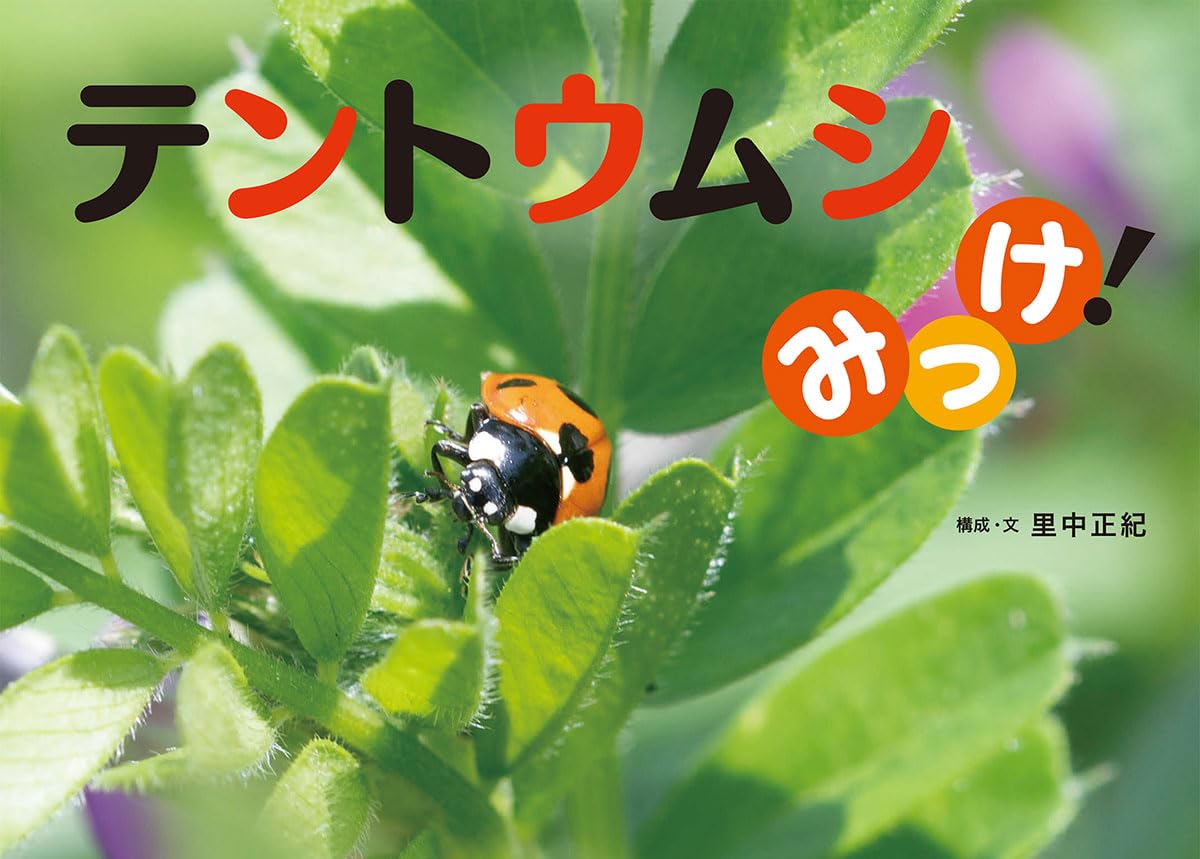 Amazon.co.jp: テントウムシみっけ! (ふしぎみつけた!) : 里中