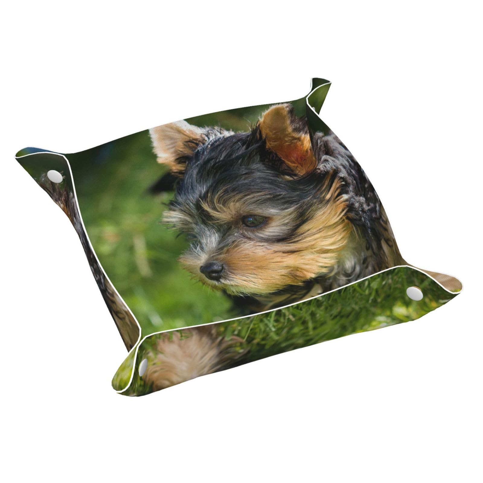 Inomak As Picture Yorkshire Terrier Green Grass Yorkie Cute Dogs, Leather Storage Tray Jewellery Organiser Desktop Catchall Tray, Dresser Organizer Plate,M