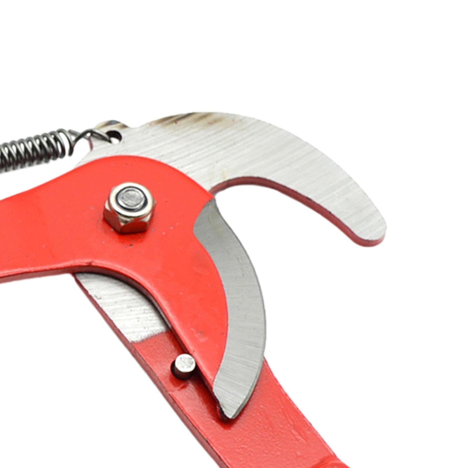 CALANDIS® High Altitude Pruning Shear Tree Branch Scissors for Cutting Branches Garden Red | 1 Double Wheel High Altitude Pruning Shear1 Rope (B0CL4HS3FL) Amazon Price History, Amazon Price Tracker