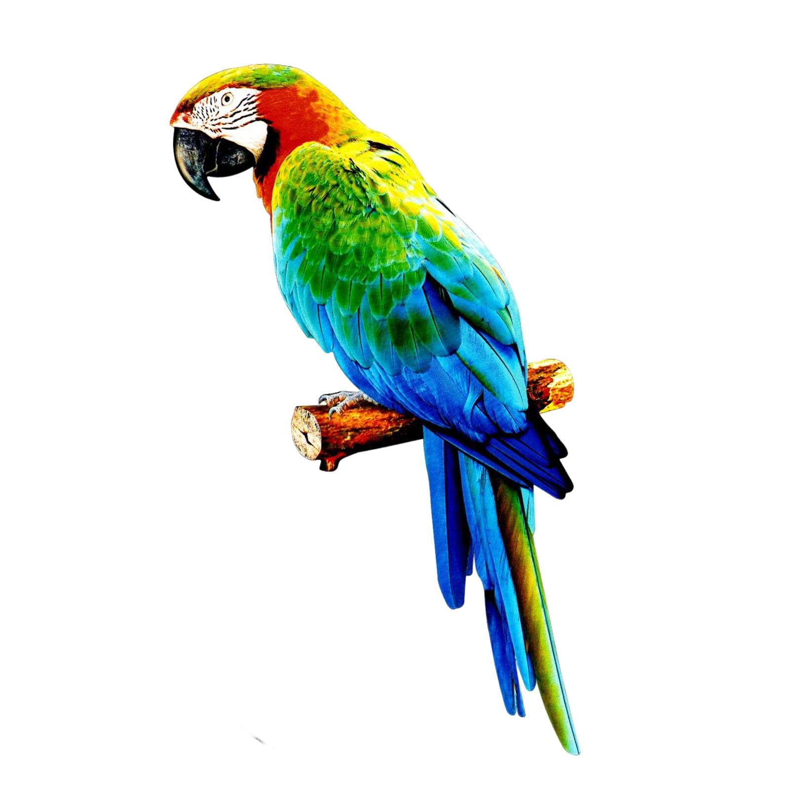 Amazon.co.jp: Folpus カラフルな人工オウムの置物像 DIY ペンダント鳥