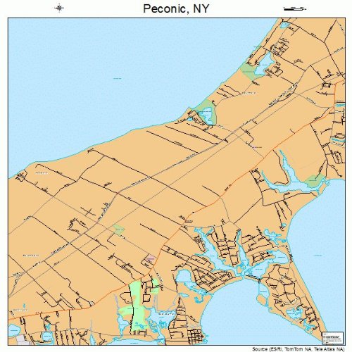 Large Street & Road Map of Peconic, New York NY Printed poster size