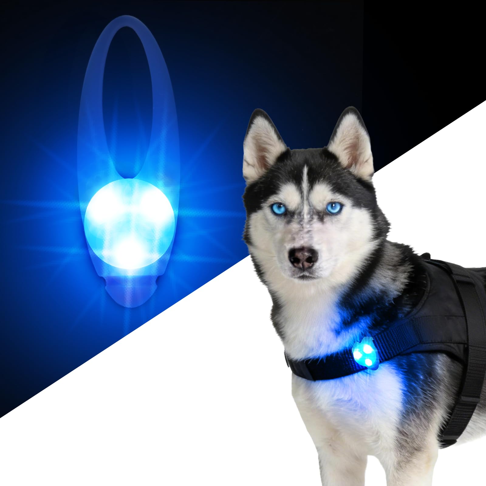 LaRoo Dog Lights for Night Walking,Led Dogs Collar Lights for Nighttime Clip On Light up Dog Collar Pet Camping Essentials (Blue)