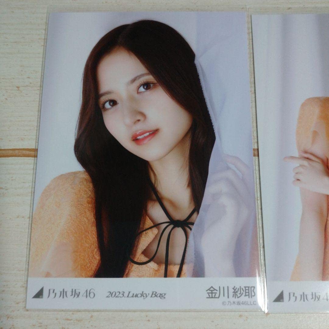 乃木坂46 金川紗耶 lucky bag B 2023 生写真無し おまけ付き