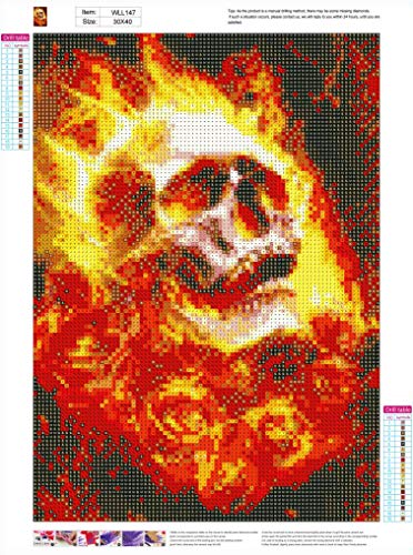 MXJSUA DIY 5D Diamond Painting Full Round Drill Kit Diamond Painting Arts Kits for Adults Gem Arts Painting Rhinestone Picture Art Craft for Home Wall Decor 30x40cm Flame Skull steampunk buy now online