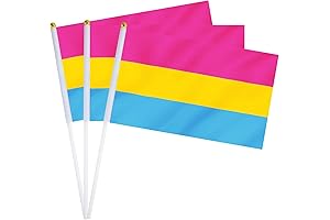Pan Pride Flag: Celebrate Pansexuality with Vibrant Handheld Decorations