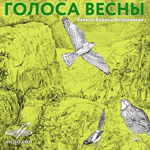 Арчёвый дубонос