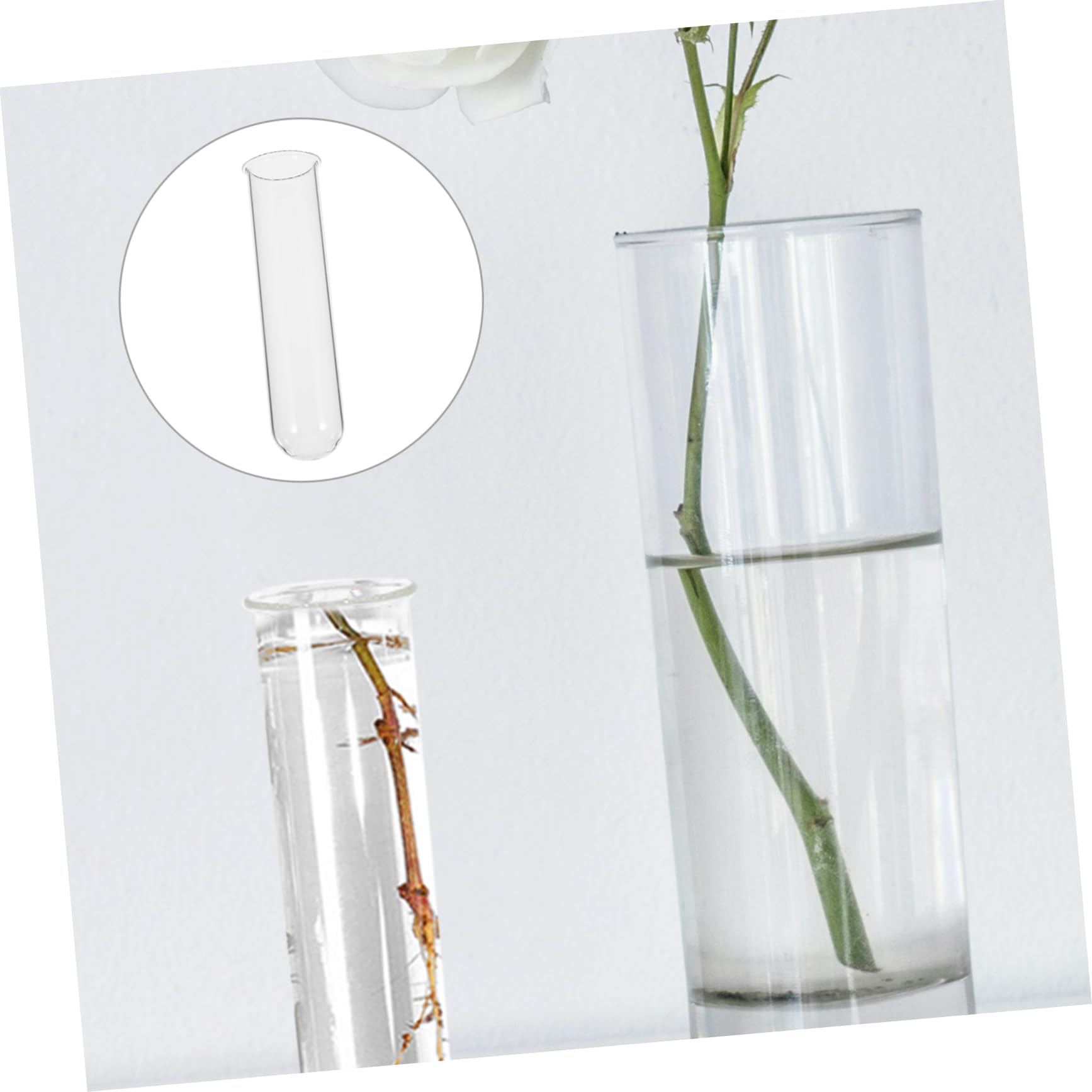 PRETYZOOM 8pièces Tube pour Plantes Hydroponiques Éprouvettes Décoratives pour Propagation De Vase pour Terrarium Et Décoration Intérieure