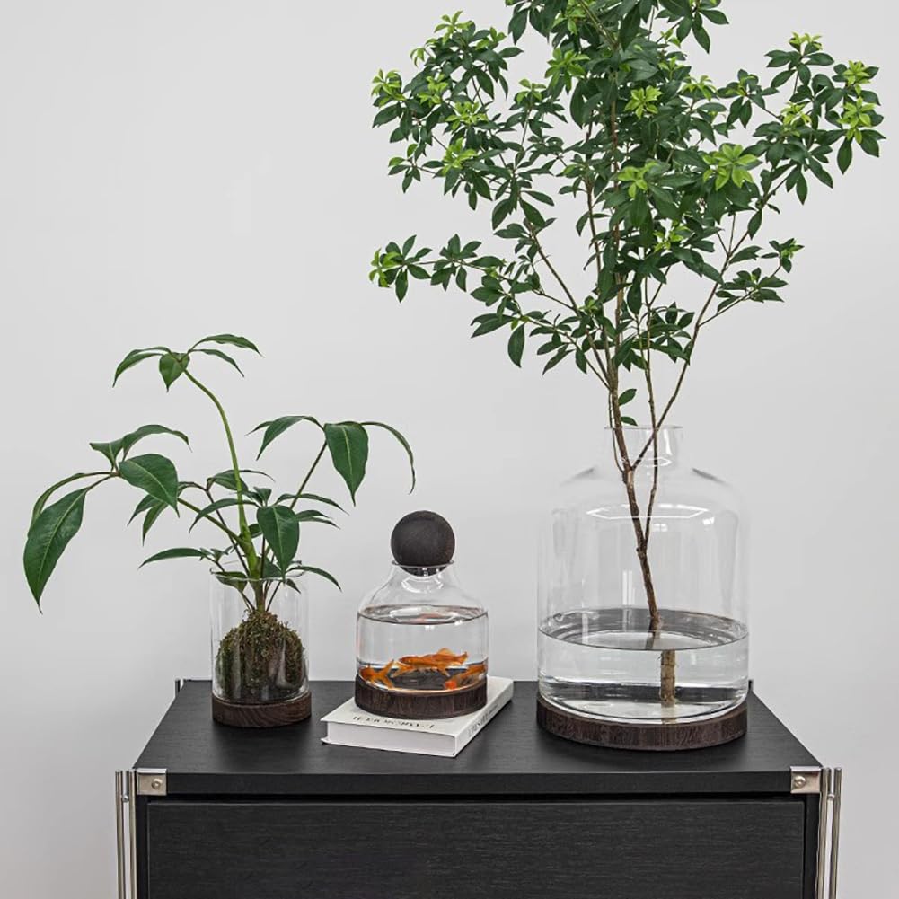Acquario per Pesci Betta, Moderno Ed Elegante Acquario per Pesci Betta, Acquario in Vetro con Base in Legno, Piccolo Acquario per Pesci Rossi, Boccia in Vetro Ultra Trasparente,L