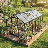8x12 FT Greenhouse, Polycarbonate Walk-in Greenhouse for Outdoors with Roof Vent & Lockable Outward-Opening Swing Door, Heavy-Duty Aluminum Green House for Garden, Backyard, Patio, Lawn, Dark Grey