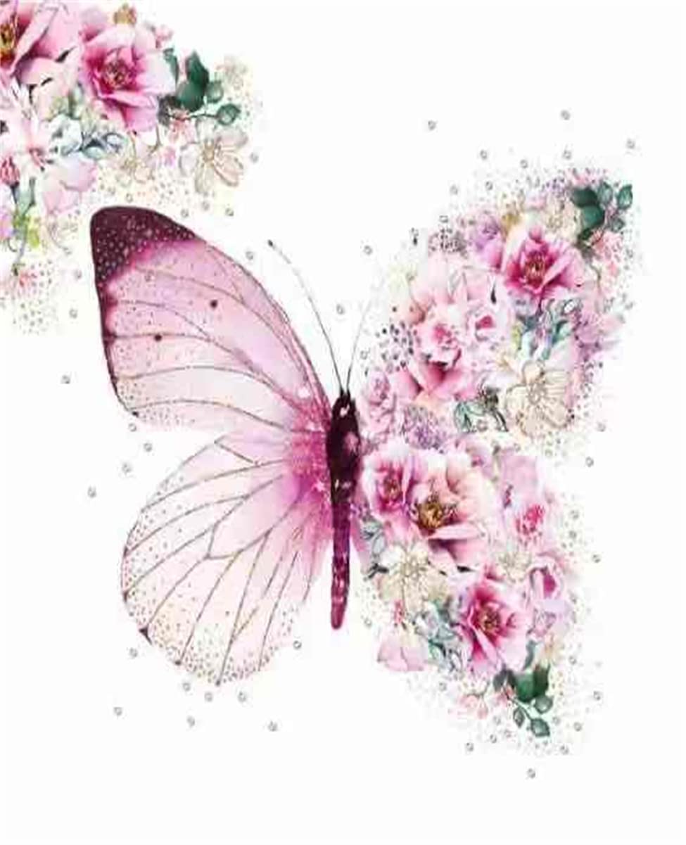 WOWDECOR Paint by Numbers Kits for Adults Kids, DIY Oil Painting - Beautiful Flowers Butterfly Animal 16x20 inch (Frameless)