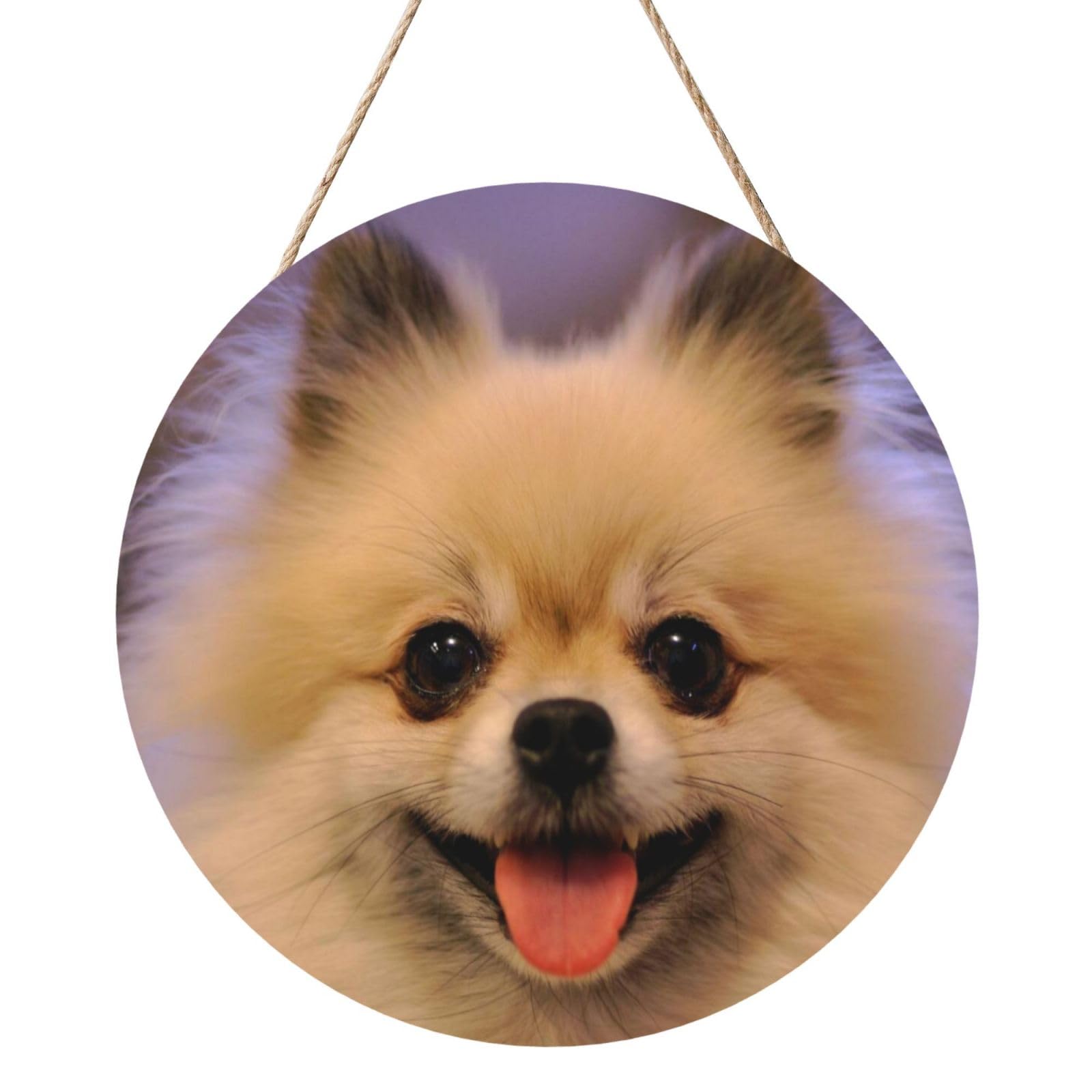 InOmak Happy Short-Haired Pomeranian Printed, Round Wood Panel Painting 12 in, Wall Hanging Painting For Home