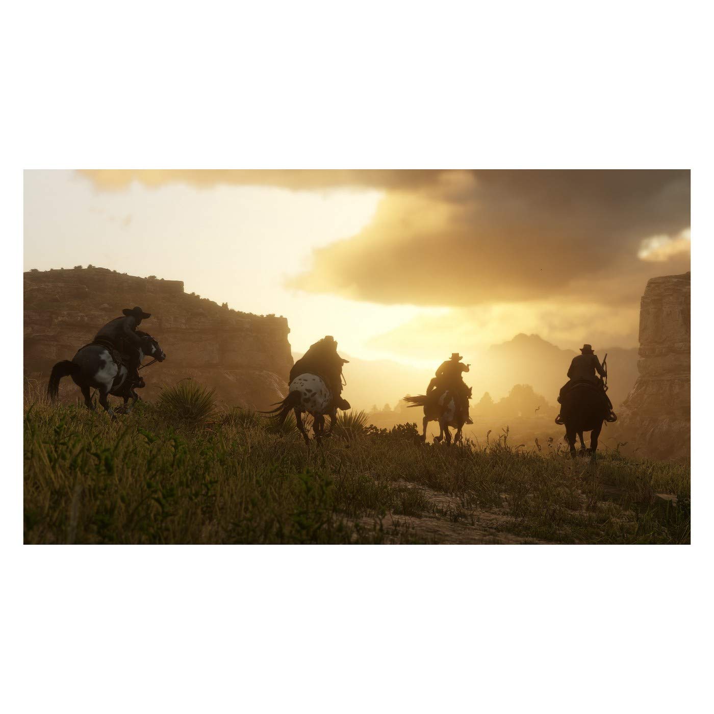 PS4 Pro Red Dead Redemption 2 Pack CUH-7200 Sony