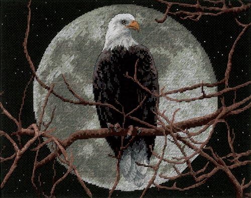 Dimensions Needlecrafts Counted Cross Stitch, Eagle in Moonlight