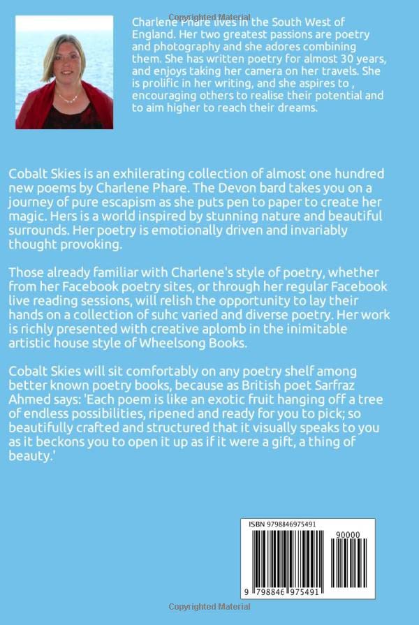 Miniatura 2 de Cobalt Skies