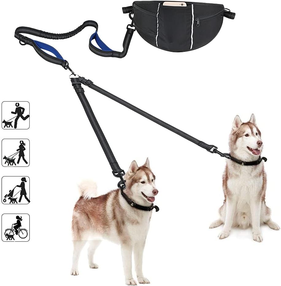 How Much Should You Charge For Walking Dogs