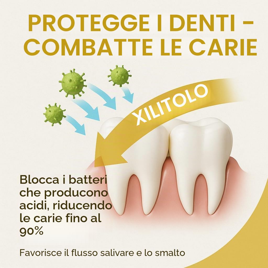 GiDeli Xilitolo di betulla 10 kg in secchio - Sostituto dello zucchero