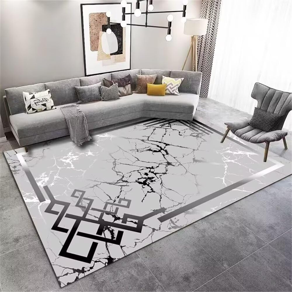 Tapis pour enfants gris effet marbre chien 140x200cm anti-glisse chambre