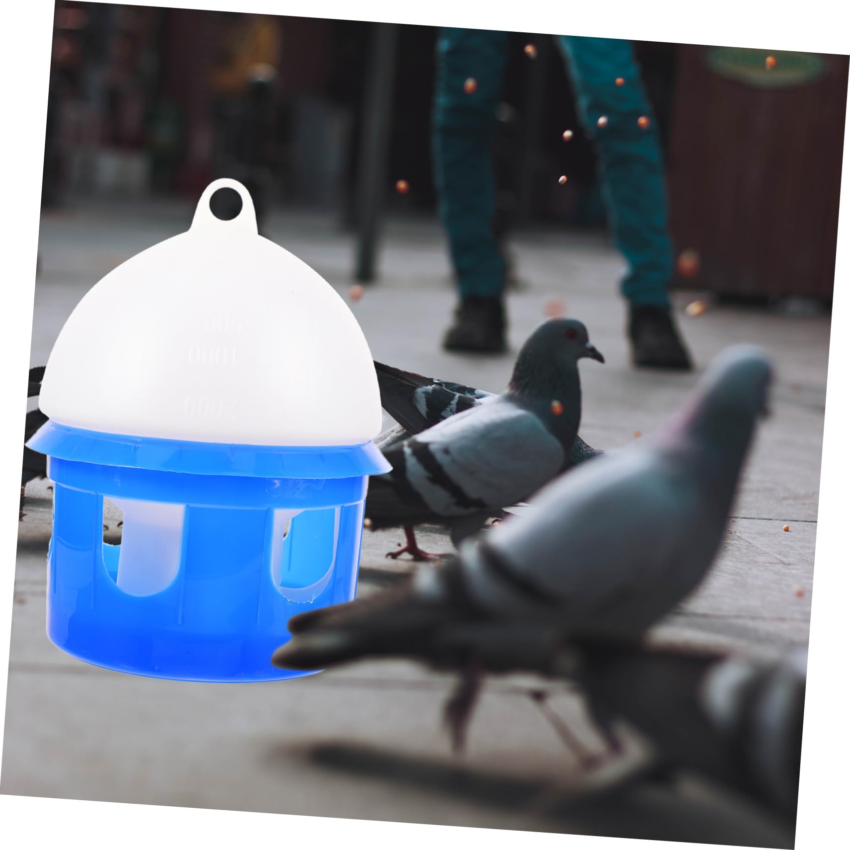 Automatische Vogeltränke für Tauben 4L aus Kunststoff Abnehmbar Robustes Design Blau für Vogelvolieren und Außenbereiche