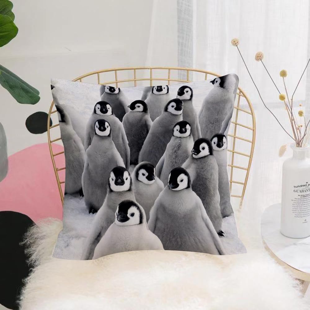 HYMSXW Cushion Cover,Throw Pillow Case Home Decorative for Living Room Bedroom Sofa Chair 20X20 Inch,Emperor penguin with children the Antarctic.,Pillowcase 50X50cm