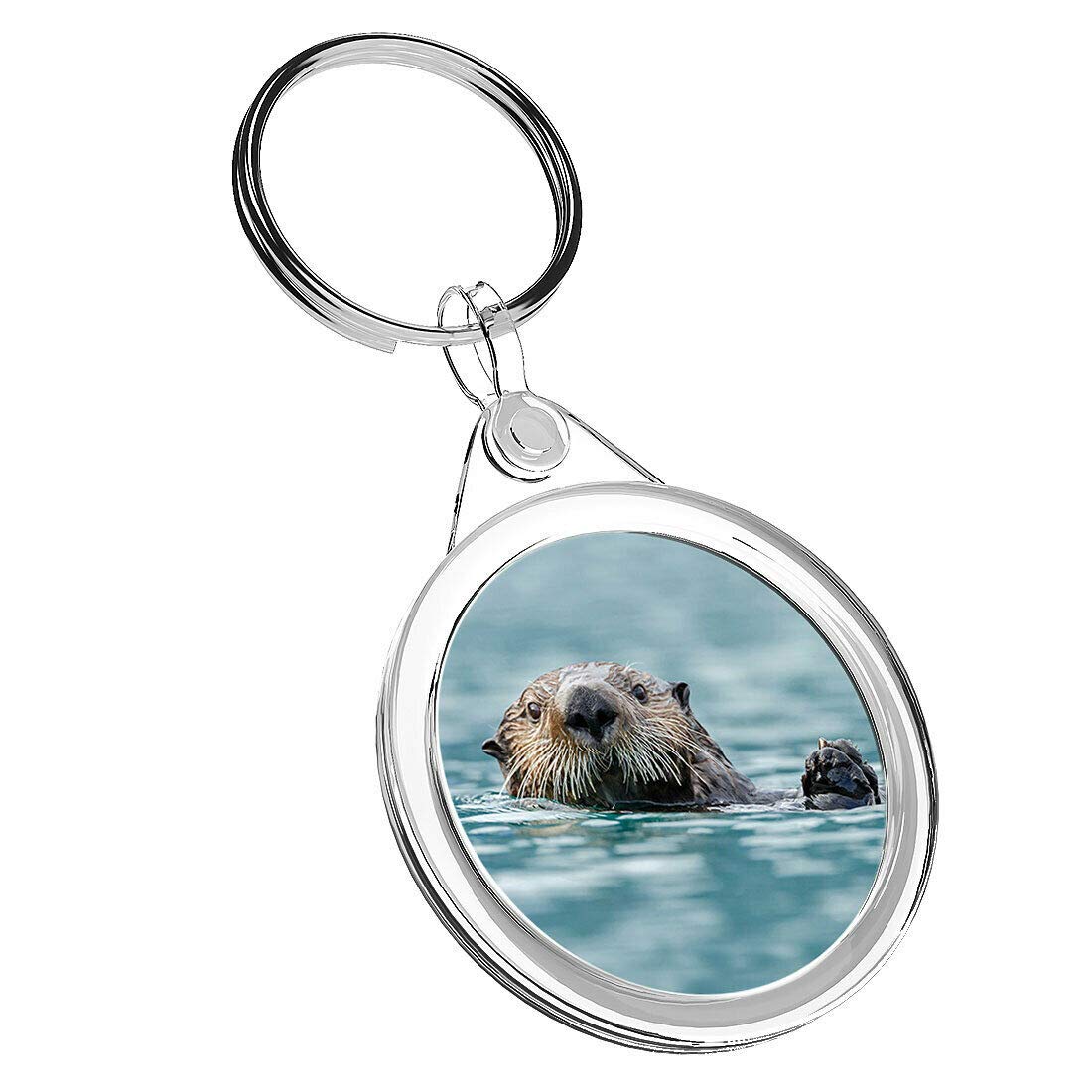 Destination Vinyl Keyrings Unisex Multi 1 X Sea Otter Wildlife Ocean Animal - Keyring Ir02 Mum Dad Birthday #14162