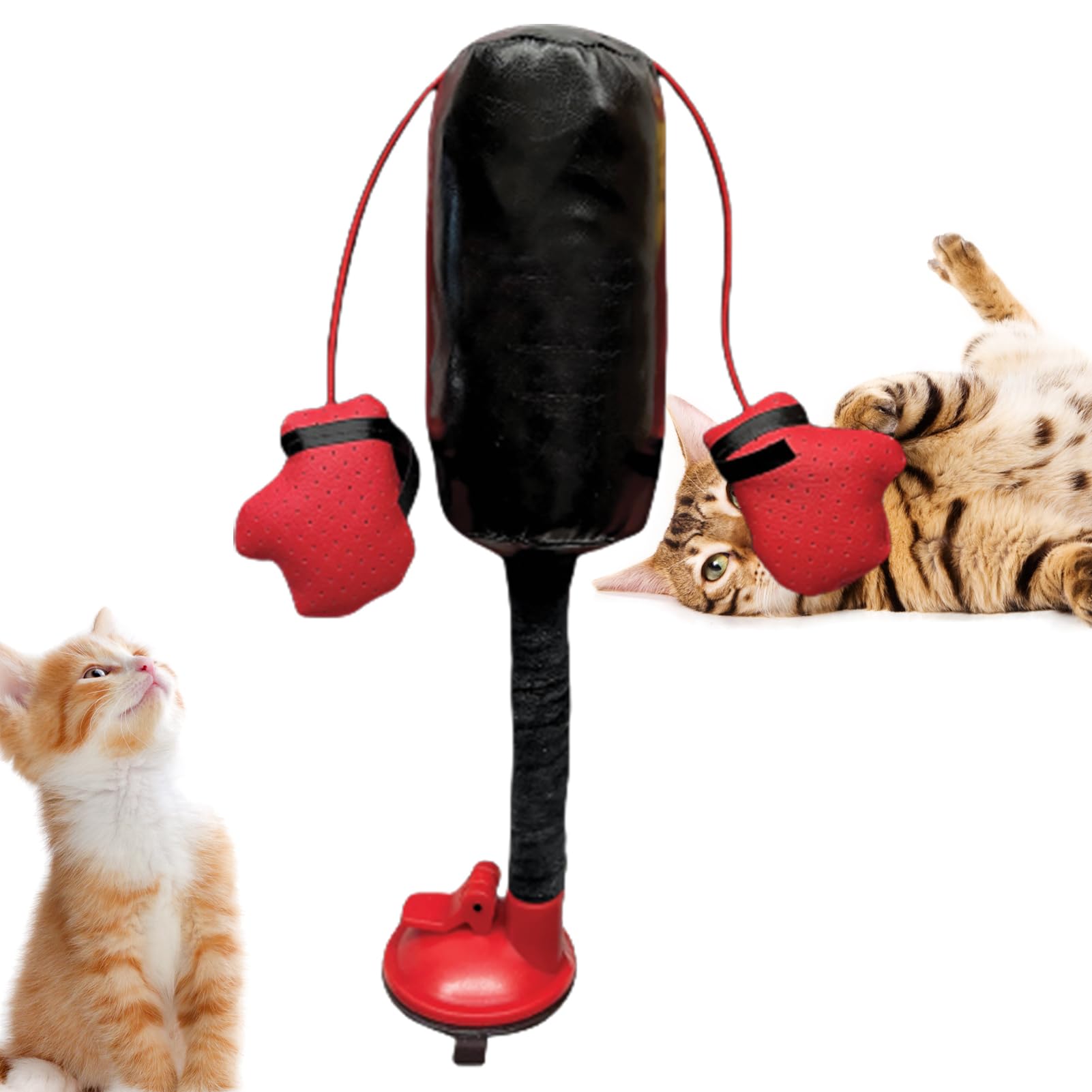 Amazon | パンチングバッグ インタラクティブ猫用おもちゃ ボクシング