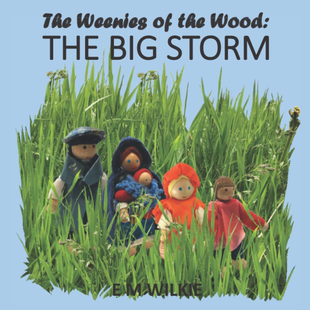 THE BIG STORM: The Weenies of the Wood: 4 (The Weenies of the Wood Adventures)