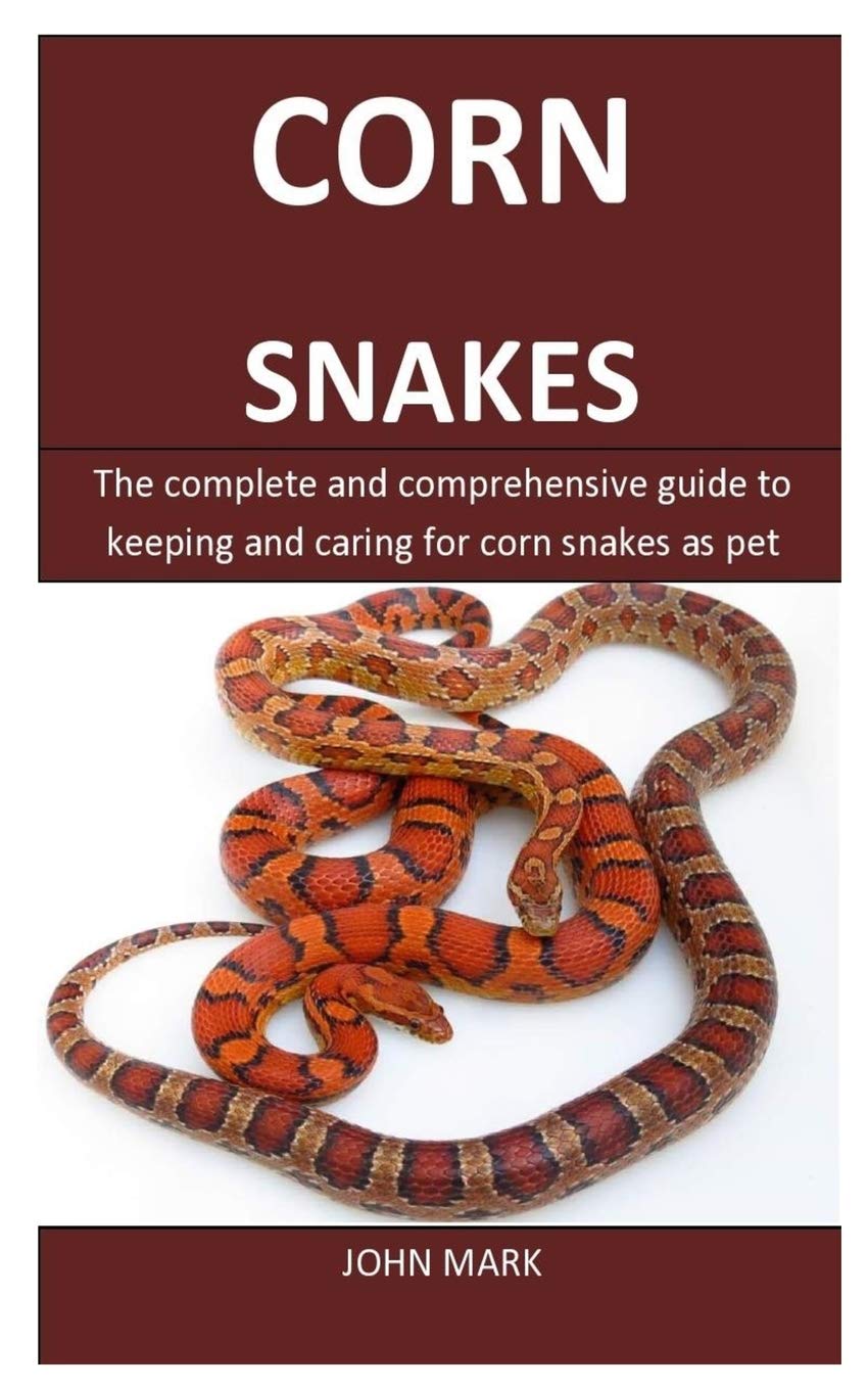 Buy Corn Snakes The complete and comprehensive guide to keeping and