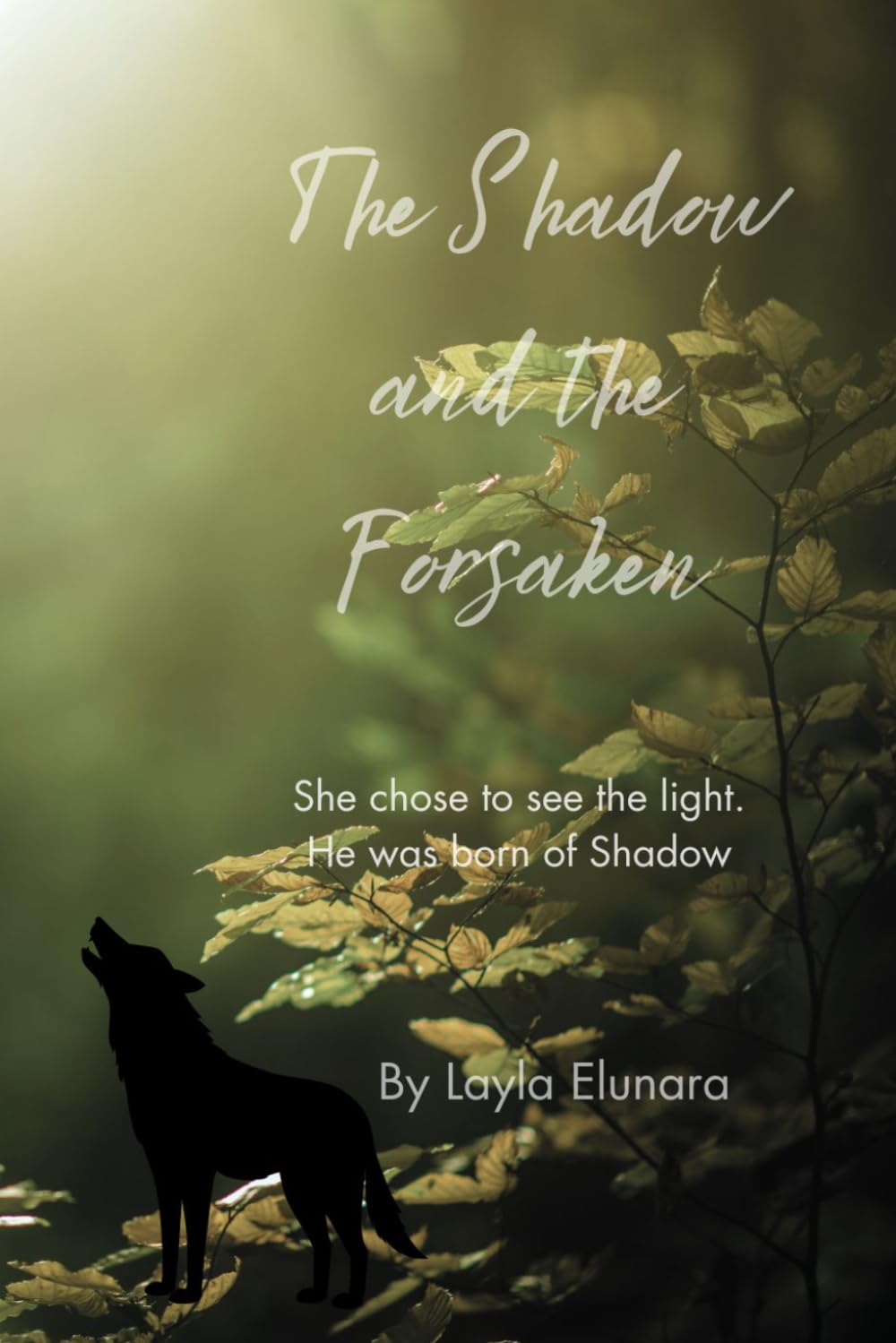The Shadow and The Forsaken (The Stormbound Realms Series)